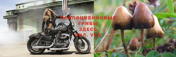 прущий лед Гусев