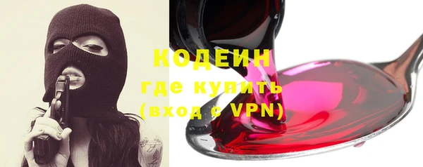 apvp Гусиноозёрск