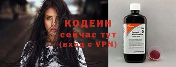 прущий лед Гусев