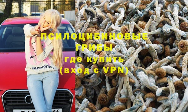 прущий лед Гусев
