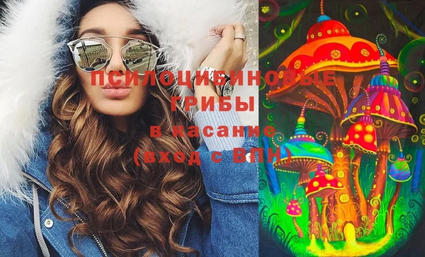 apvp Гусиноозёрск