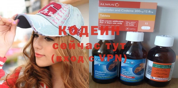 шишки Горно-Алтайск