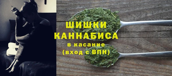 прущий лед Гусев