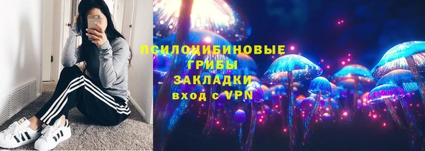 прущий лед Гусев